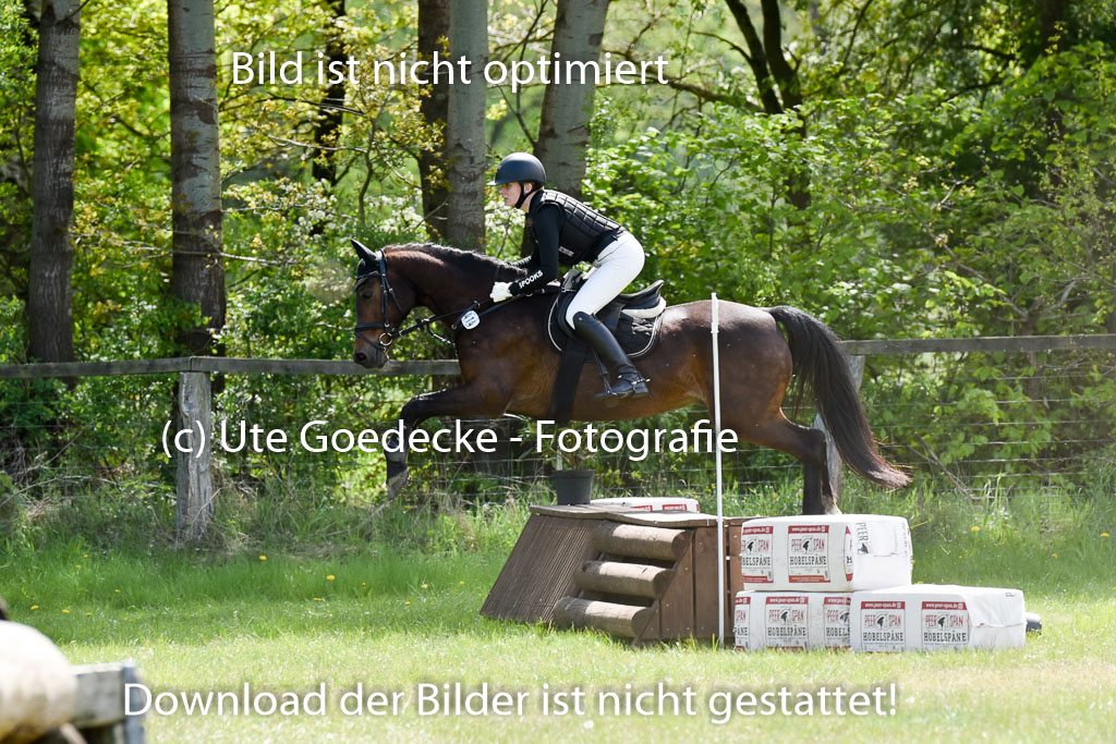  | 10052025 E Stilgelände _337 
