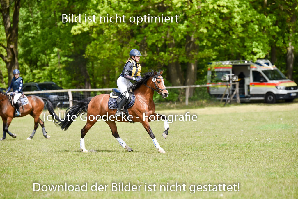  | 10052025 E Stilgelände _339 