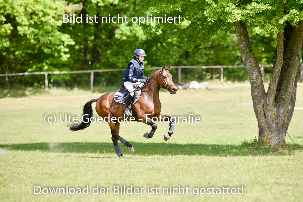  | 10052025 E Stilgelände _346 