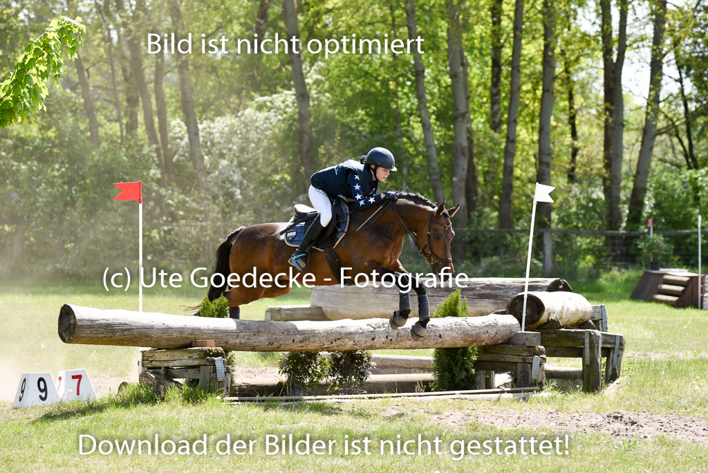  | 10052025 E Stilgelände _351 