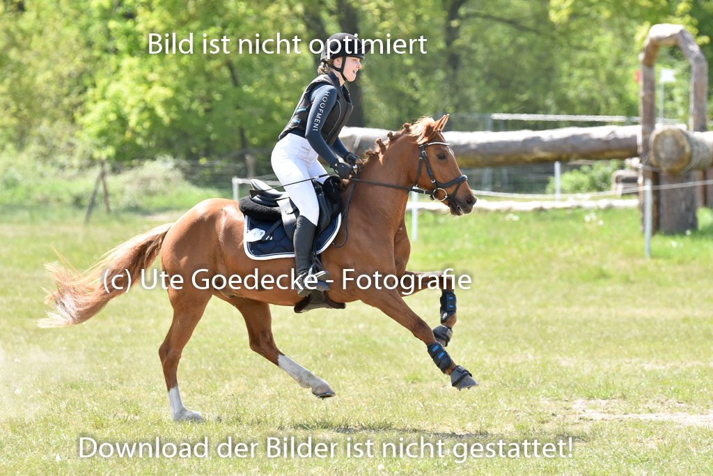  | 10052025 E Stilgelände _357 