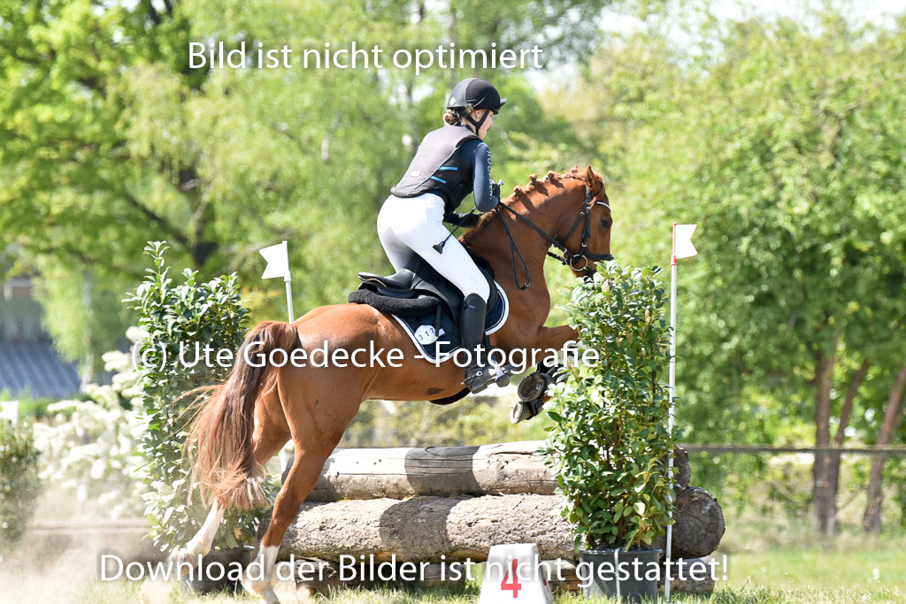  | 10052025 E Stilgelände _358 