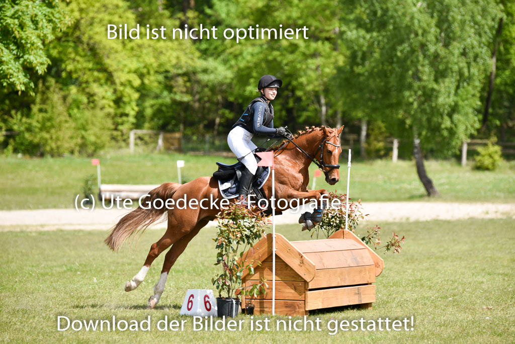  | 10052025 E Stilgelände _361 