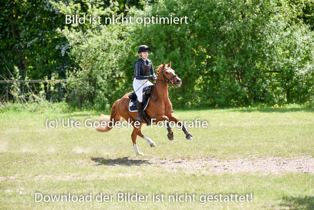  | 10052025 E Stilgelände _363 