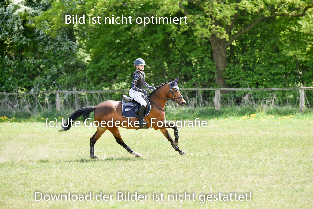  | 10052025 E Stilgelände _374 
