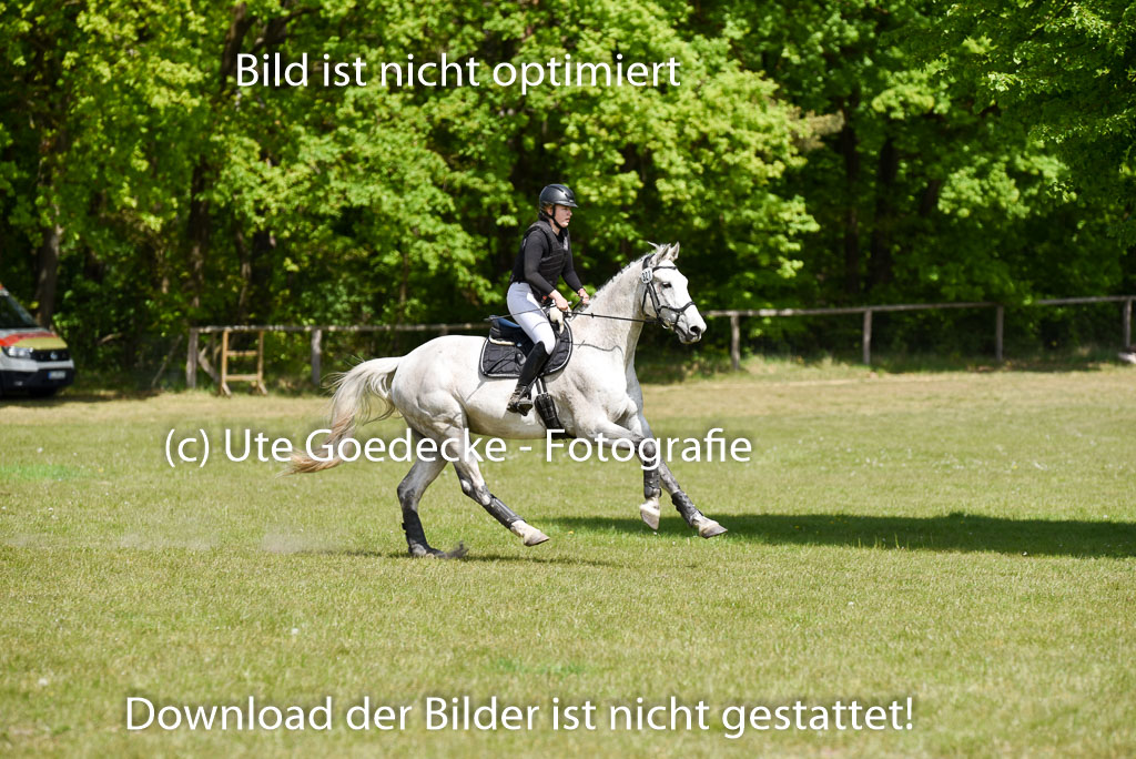  | 10052025 E Stilgelände _377 