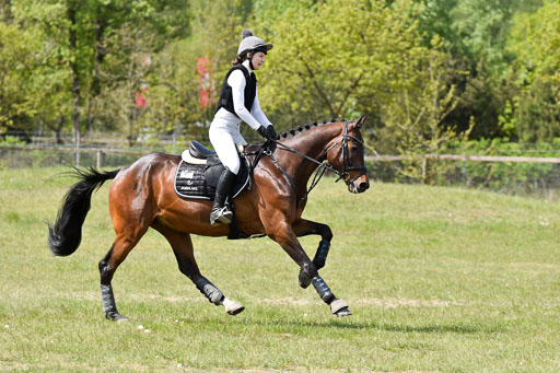  | 10052025 E Stilgelände _011 
