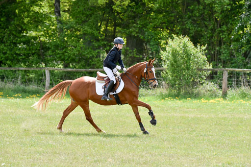  | 10052025 E Stilgelände _032 