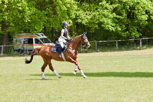  | 10052025 E Stilgelände _054 