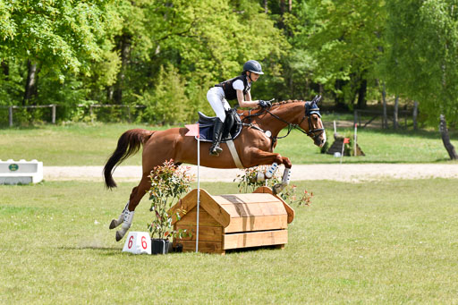  | 10052025 E Stilgelände _055 