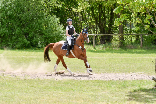  | 10052025 E Stilgelände _056 