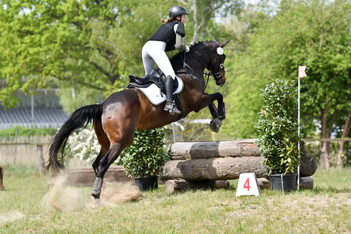  | 10052025 E Stilgelände _061 