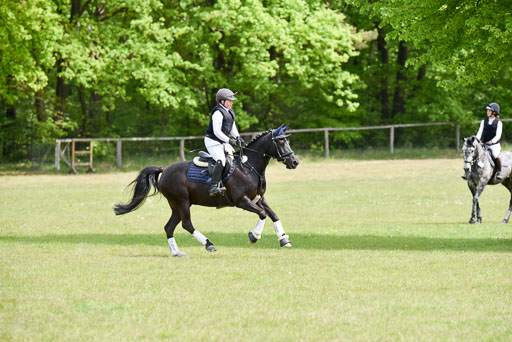  | 10052025 E Stilgelände _071 