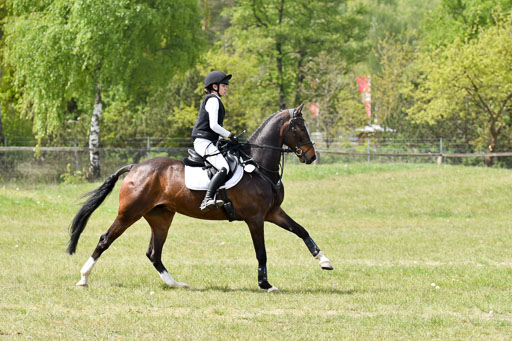  | 10052025 E Stilgelände _083 