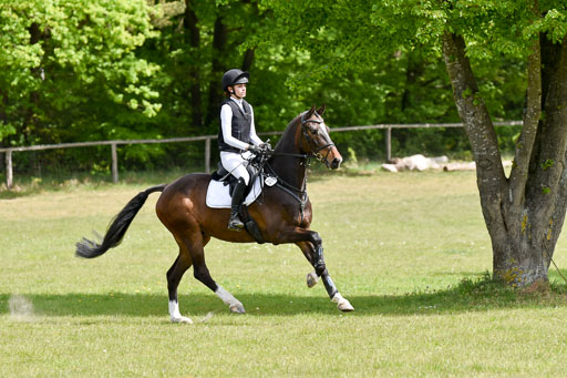  | 10052025 E Stilgelände _086 