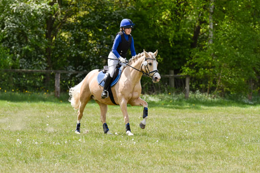  | 10052025 E Stilgelände _137 