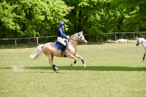  | 10052025 E Stilgelände _141 