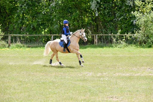  | 10052025 E Stilgelände _143 