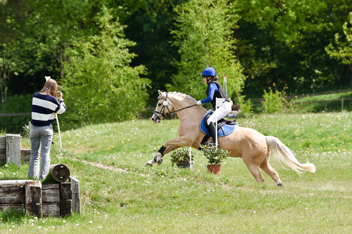  | 10052025 E Stilgelände _148 