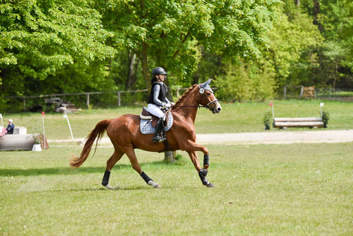  | 10052025 E Stilgelände _161 