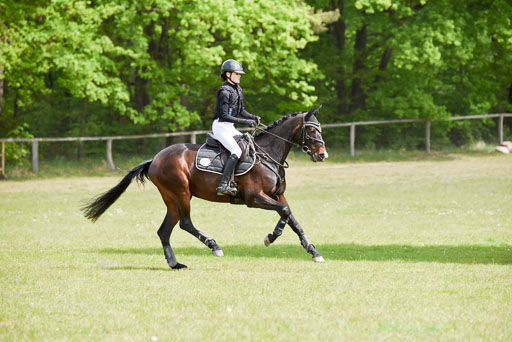  | 10052025 E Stilgelände _169 