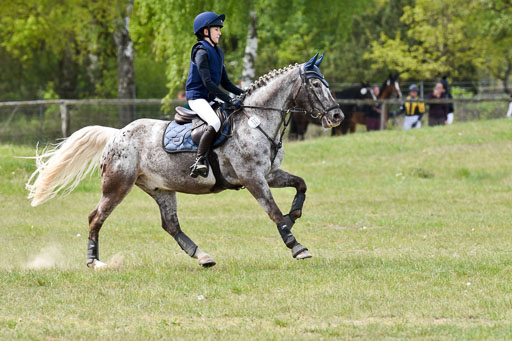  | 10052025 E Stilgelände _183 