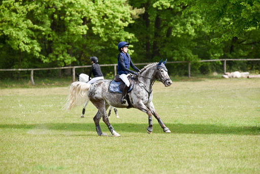  | 10052025 E Stilgelände _186 