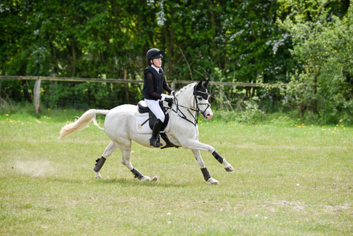  | 10052025 E Stilgelände _196 