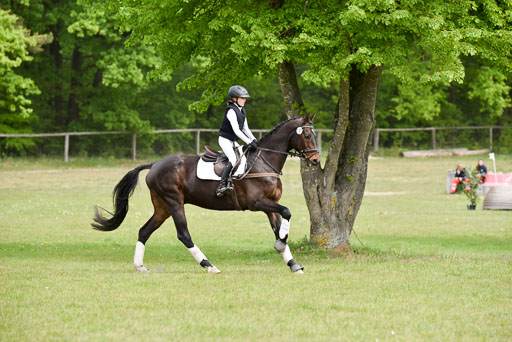  | 10052025 E Stilgelände _214 