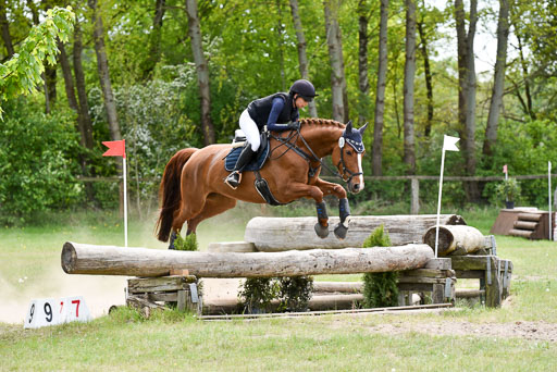  | 10052025 E Stilgelände _235 