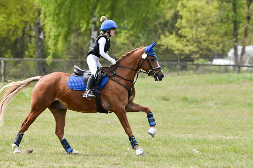  | 10052025 E Stilgelände _239 