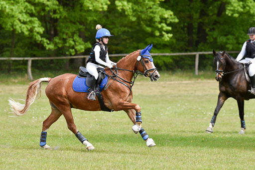  | 10052025 E Stilgelände _242 