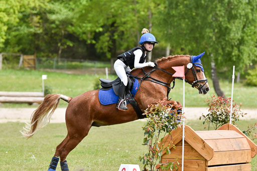  | 10052025 E Stilgelände _243 