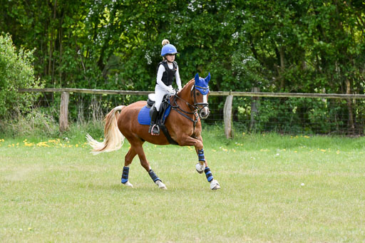  | 10052025 E Stilgelände _245 