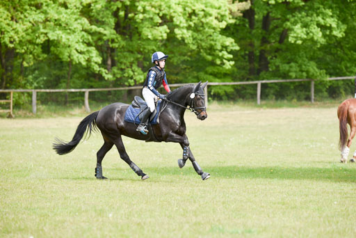  | 10052025 E Stilgelände _259 