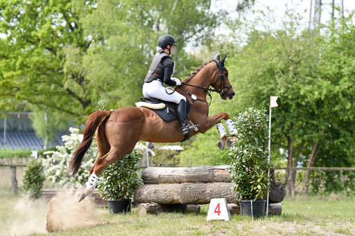  | 10052025 E Stilgelände _271 