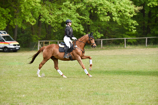  | 10052025 E Stilgelände _273 