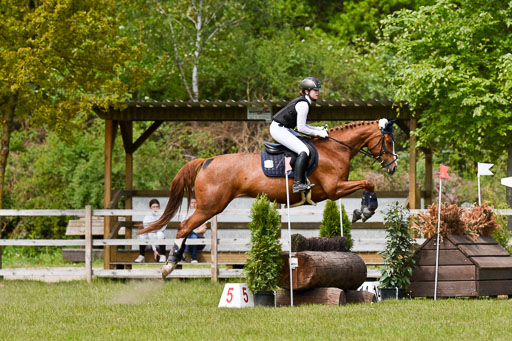  | 10052025 E Stilgelände _281 