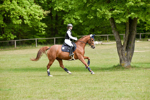  | 10052025 E Stilgelände _282 