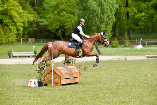  | 10052025 E Stilgelände _284 