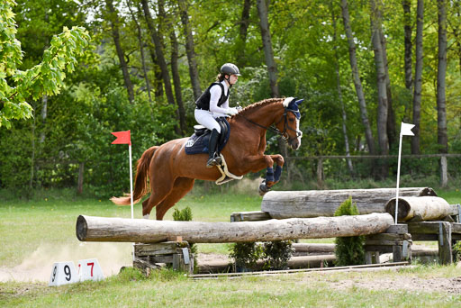  | 10052025 E Stilgelände _287 