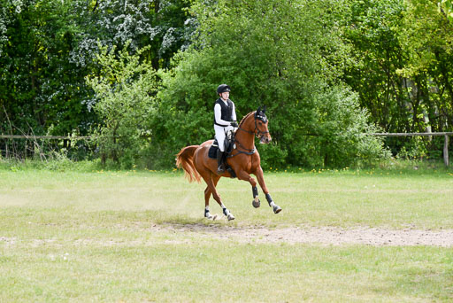  | 10052025 E Stilgelände _291 