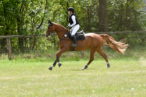  | 10052025 E Stilgelände _294 