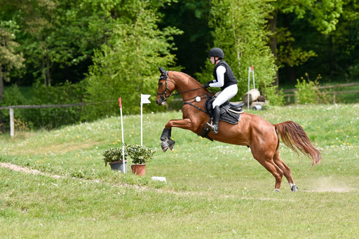  | 10052025 E Stilgelände _295 