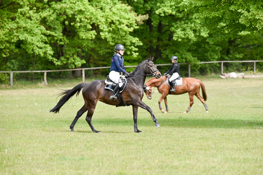  | 10052025 E Stilgelände _299 