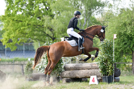  | 10052025 E Stilgelände _310 