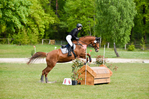  | 10052025 E Stilgelände _312 