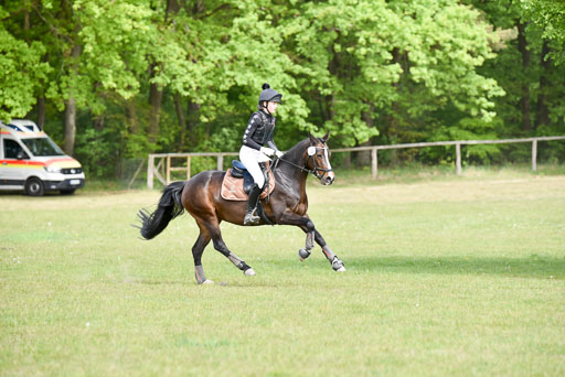  | 10052025 E Stilgelände _317 