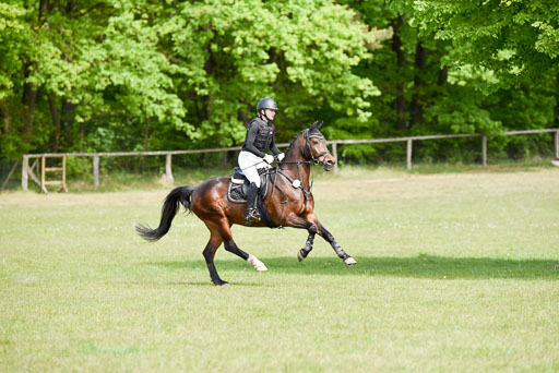  | 10052025 E Stilgelände _328 