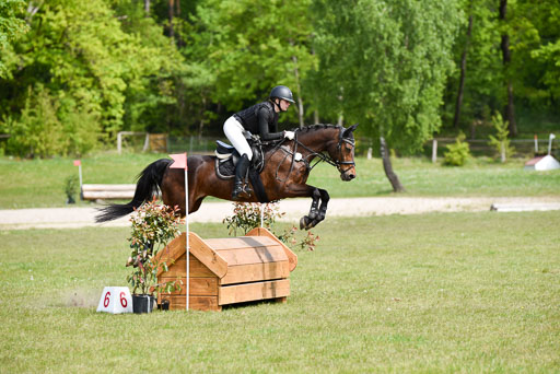  | 10052025 E Stilgelände _330 